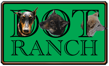 Original Dot Ranch logo 