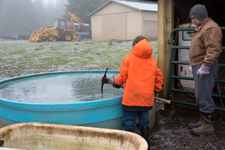 Man and son breaking ice on water trough