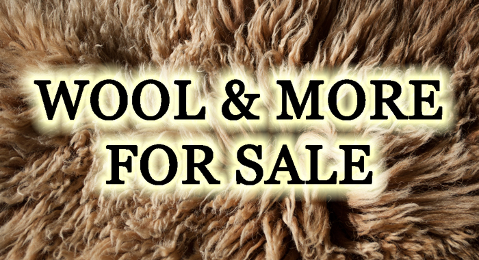 Wool & More for sale at Dot Ranch